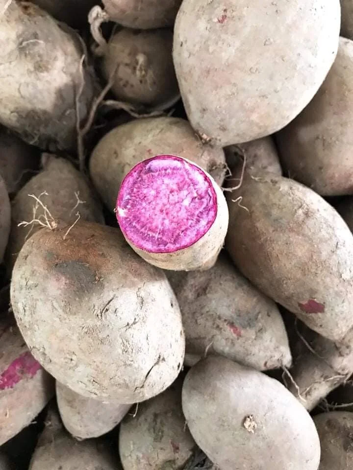 Свежий фиолетовый сладкий картофель 100% высококачественный органический экспорт сделано во Вьетнаме натуральный заводская цена