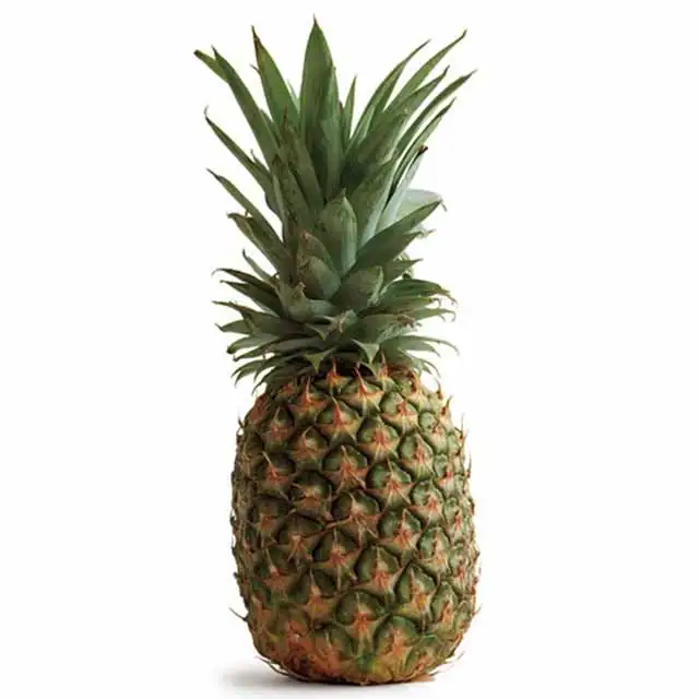 2021 new crop sweety fresh pineapple fruit for pineapple can material