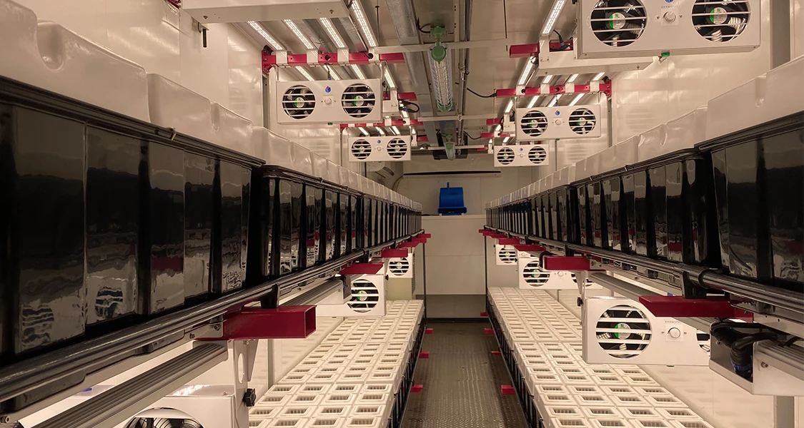 Горячая Распродажа автоматический контейнер для теплиц аэропонная/гидропин/капельная система