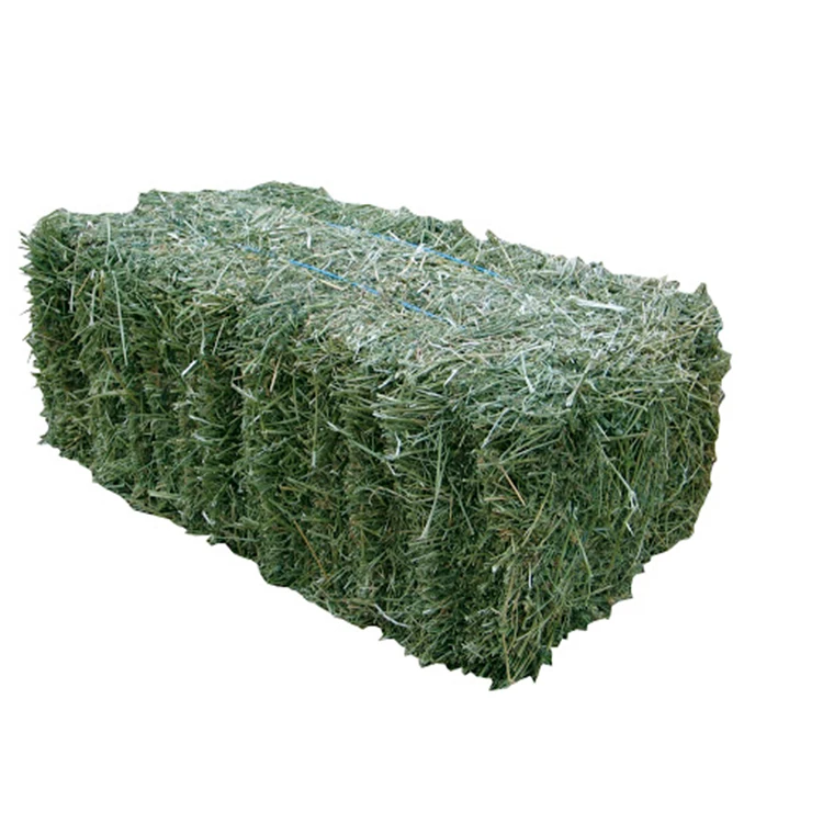 Alfalfa Hay Bales/ Alfalfa Cubes/ Alfalfa Pellets Stock Available For Wholesale