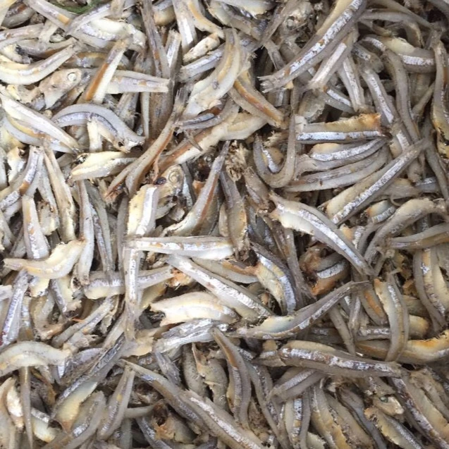 HIGH QUALITY - DRIED ANCHOVY