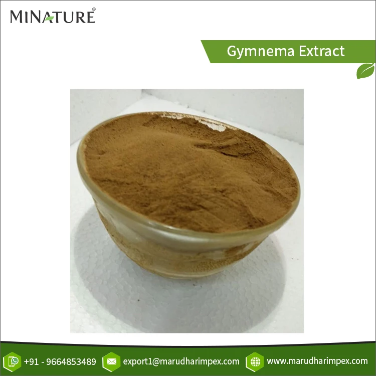 Global Exporter Widely Selling High Standard Grade Good Quality Pure & Natural 25% Gymnema Extract Herbal Powder