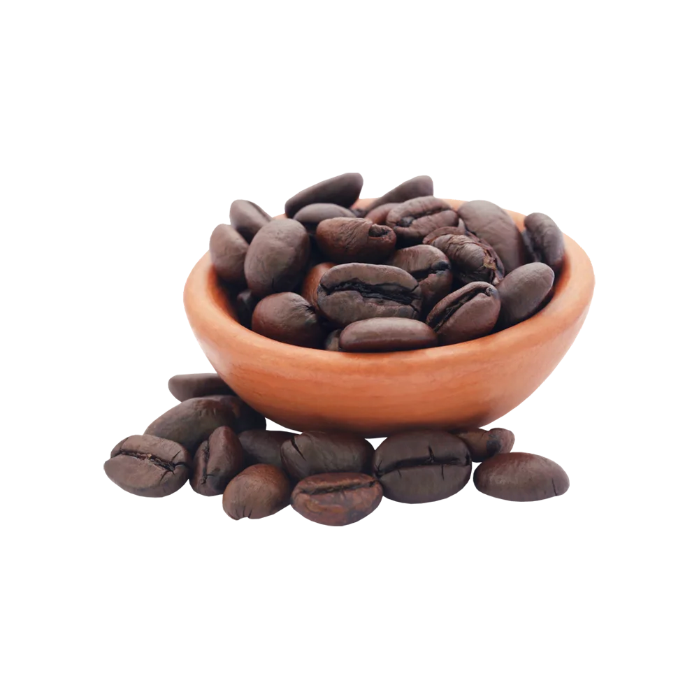 Premium Quality Castorino Whole Bean Coffee HONDURAS CATUAI SPECIALTY for home / HO.RE.CA.