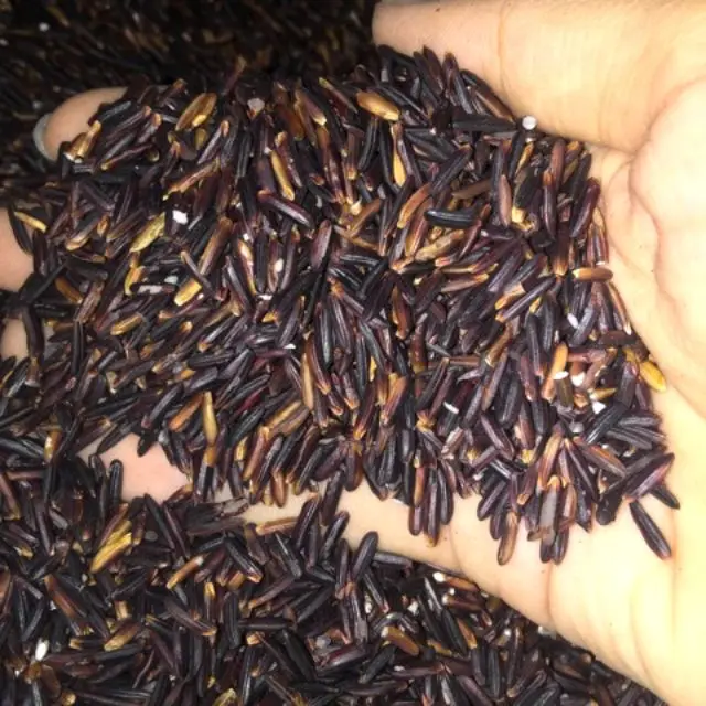 
Export To The World Black Rice 5% Broken With High Fiber Special Good For Health 