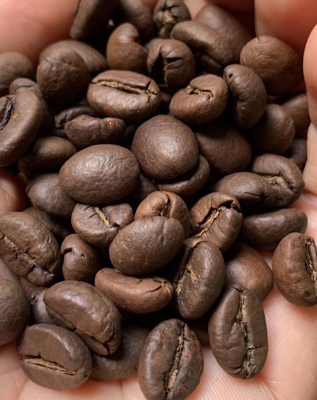 Жареные кофейные зерна (мисс линда 0084 989 322 607 whatsapp)