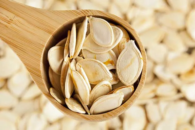 
Pumpkin Seed Salted - Vietnam pumpkin seeds Best Quality pumpkin seeds inshell with Low price 