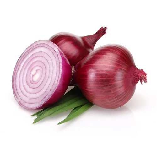 Wholesale Fresh Farm Red Onions Gluten Free Exporters / Big Onion for Export