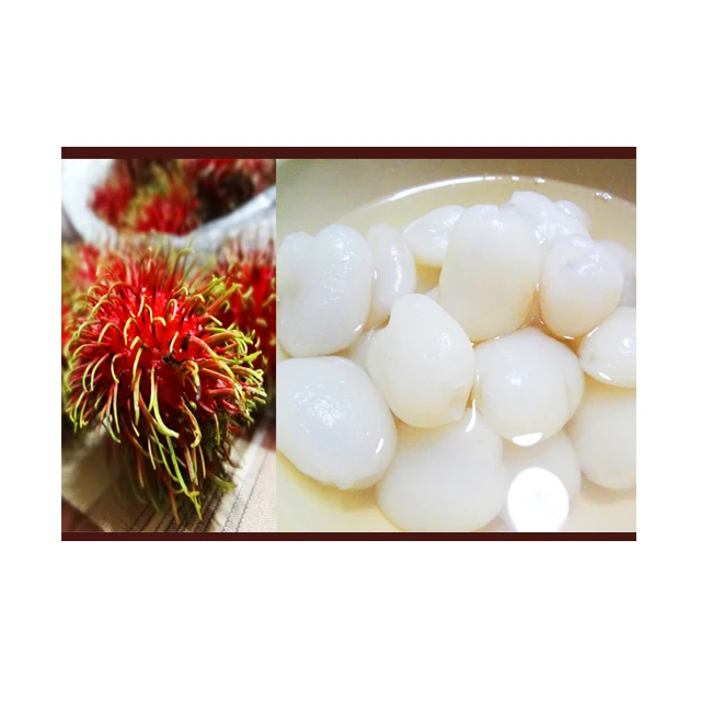 Canned Rambutan in Syrup Appetizers Sweet and Delicious Premium Quality from Thailand for 100% Export for Wholesale