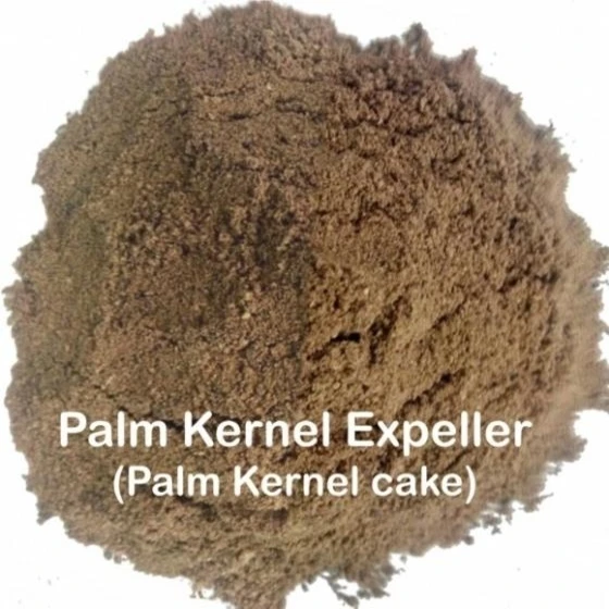 Palm Kernel Expeller for aninal feed