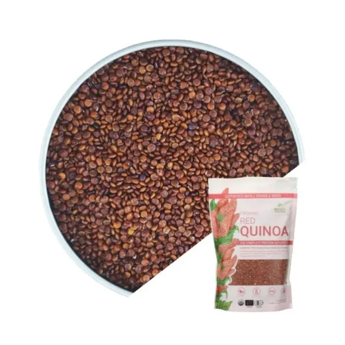 High Quality Bulk Red Sorghum/White Sorghum For Sale In Wholesale Price