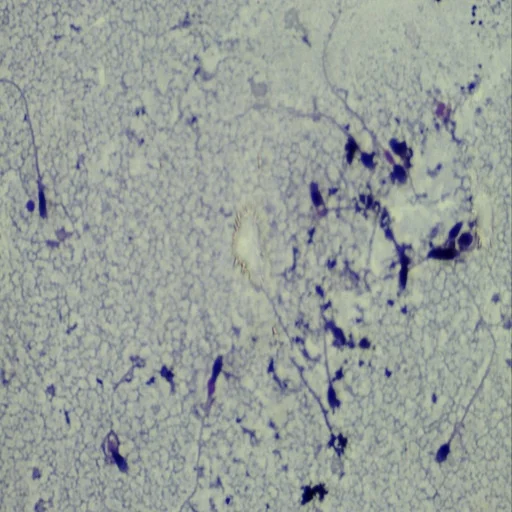 Human Histology Slides - Microscope Slides