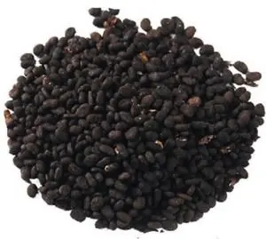 
Wholesale Best Quality Babchi Seeds 
