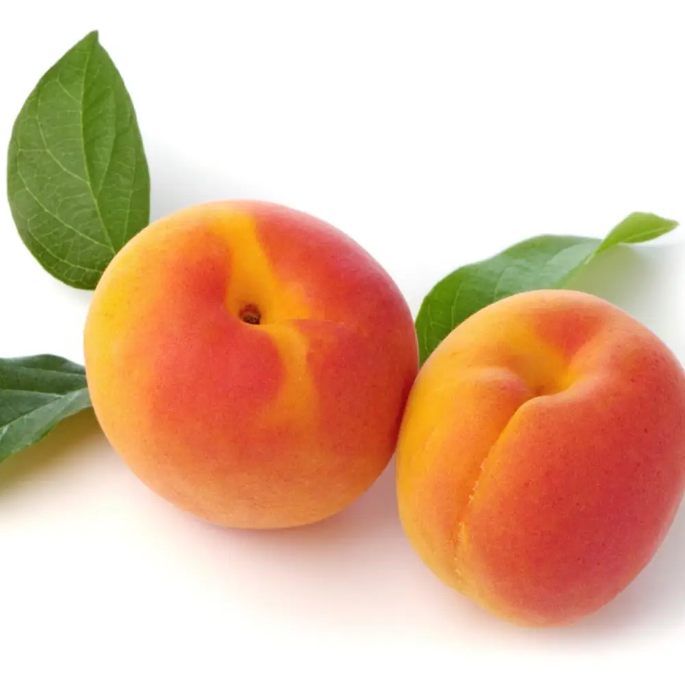 
Fresh Apricots For Sale , Export Quality From Brazil 