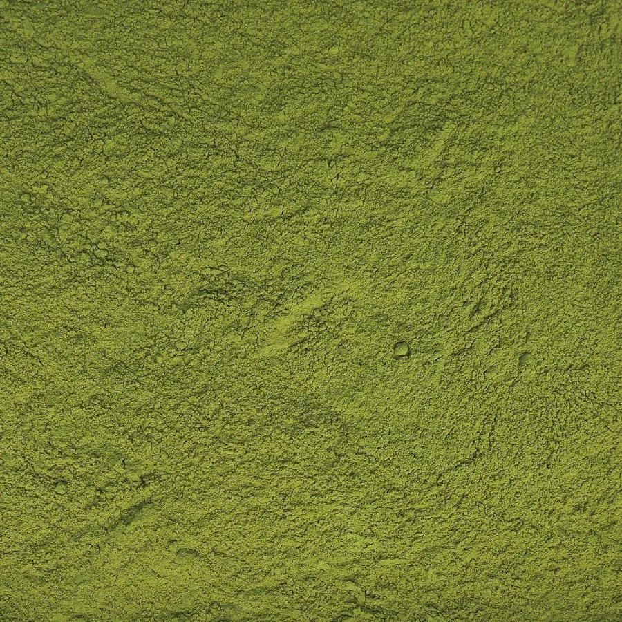 Indian moringa leaf powder making from machine quality for USA UK Germany Spain France Italy packing 5kg 10kg 25kg bag