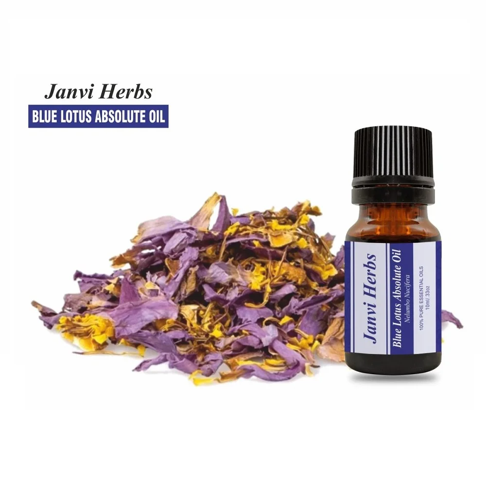 Best Grade Blue lotus absolute oil at bulk price from India