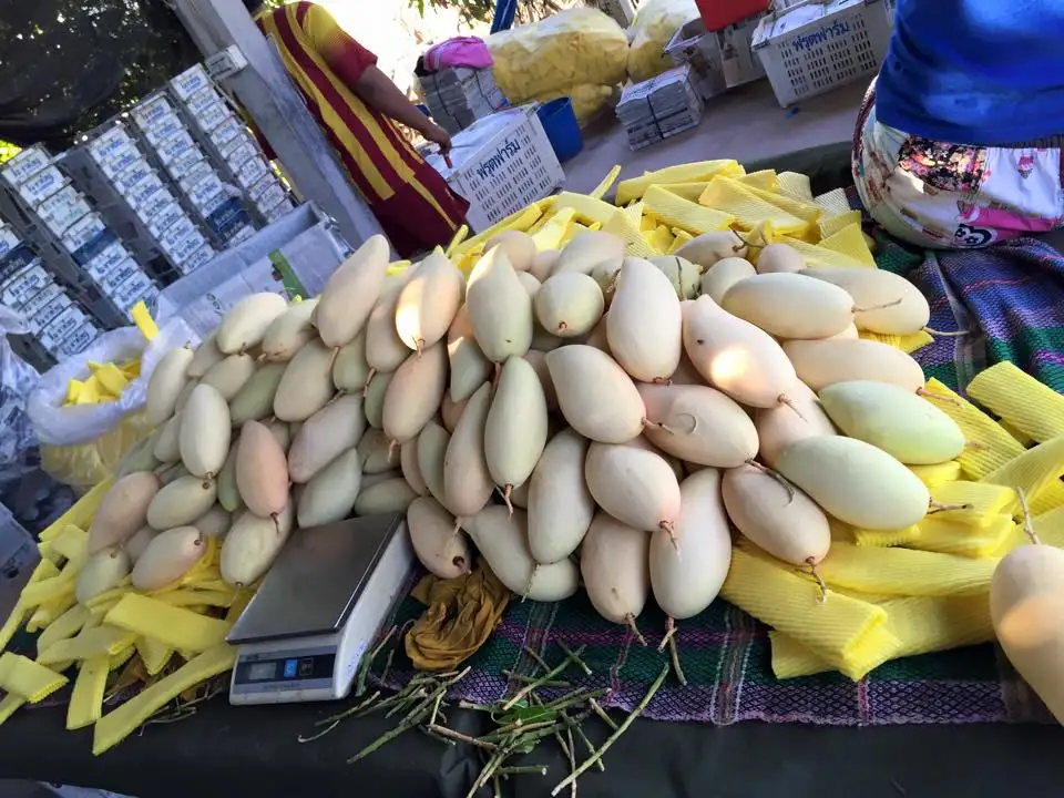 mango nam dokmai fresh Grade AA quality from thailand