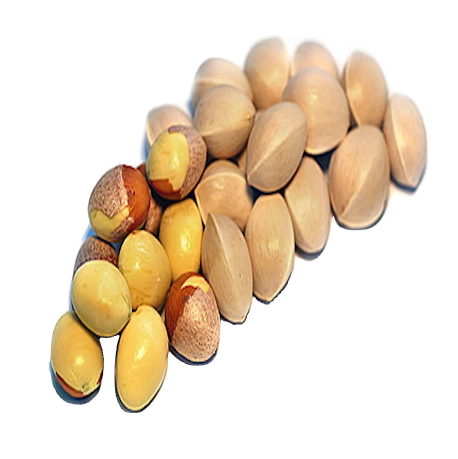 Best Price Organic Dried GINKGO NUTS Available In Bulk