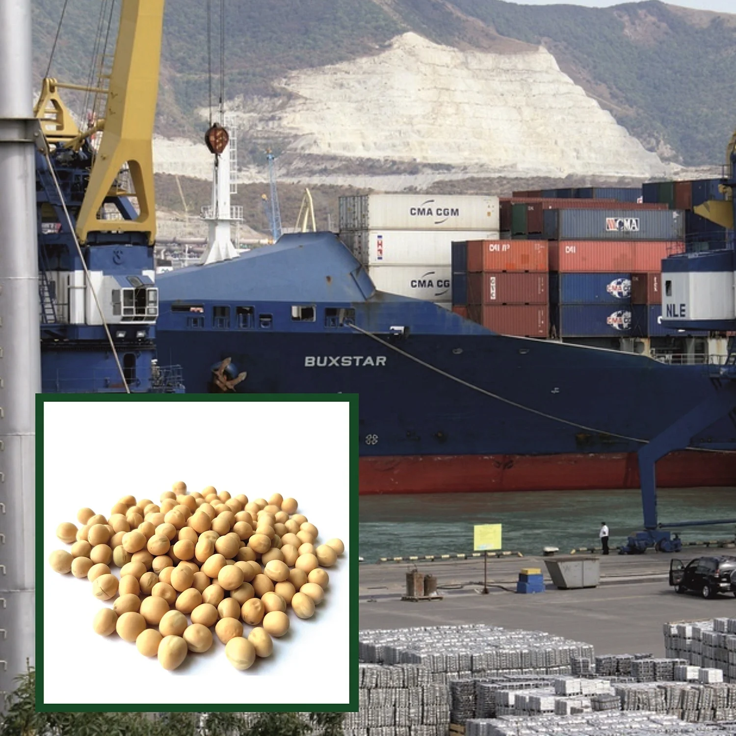 
High quality yellow peas 15/25/50 kg bags or in bulk, product of Russia 