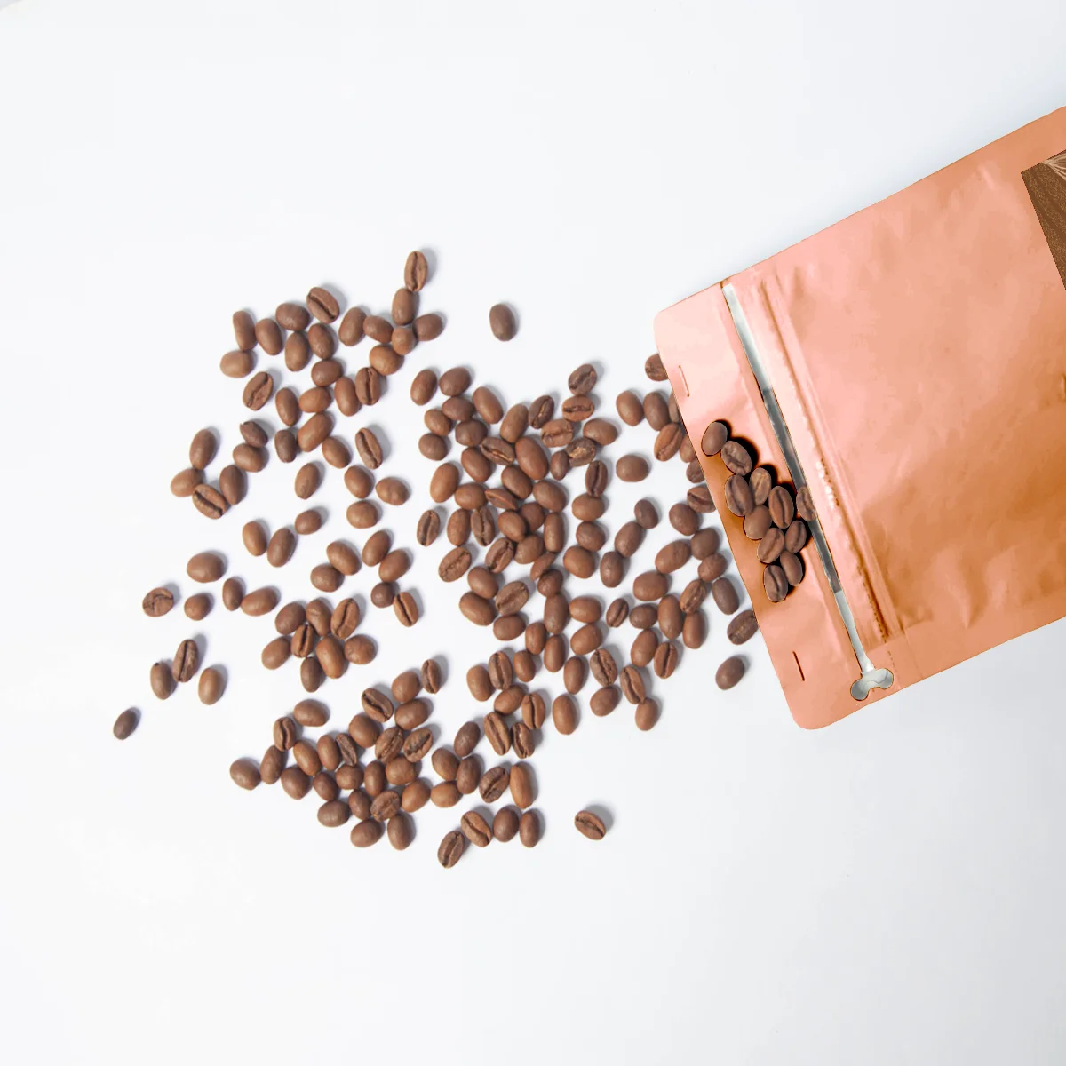 Good Sale Golden Mandheling & Brazil arabica roast whole bean coffee with new design