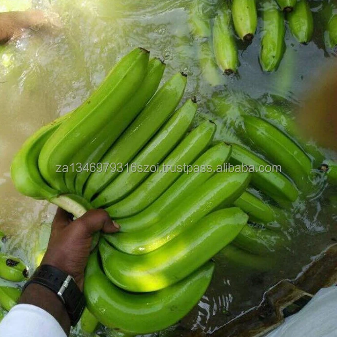 
Fresh Quality Bananas for sell 