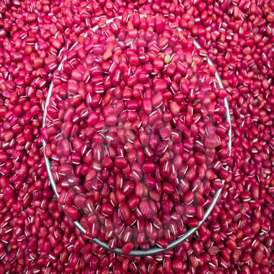 
Quality Organic Red Adzuki Bean 