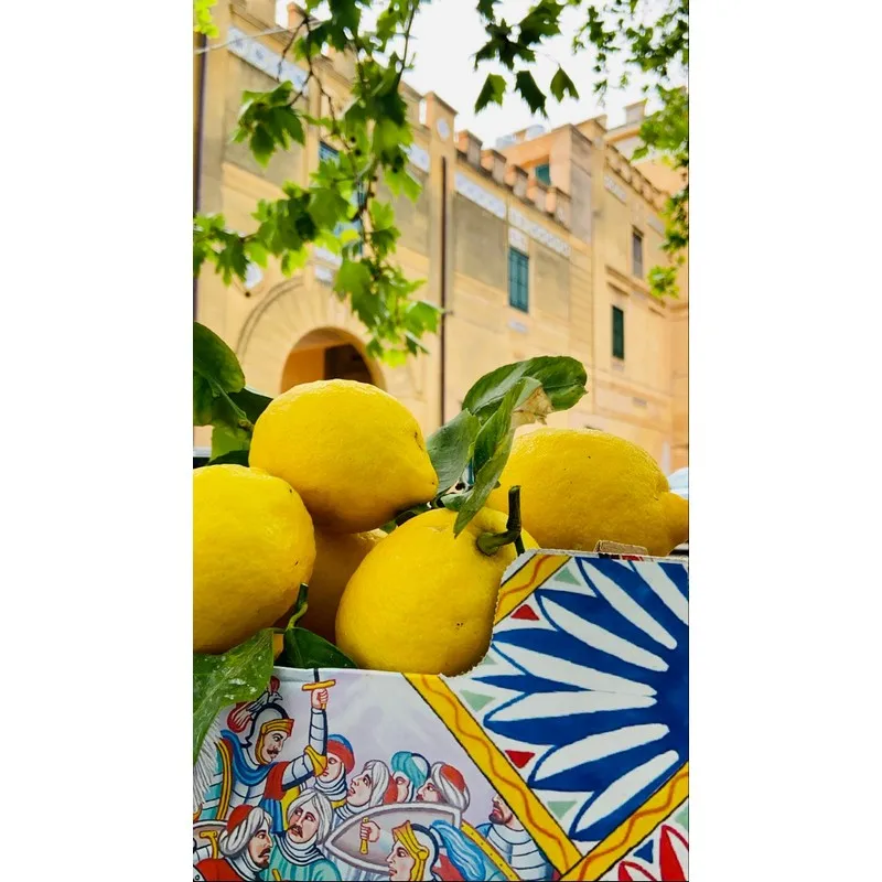 Made in Italy Sicily Organic Pale Yellow Fresh Lemons with Leavesgreen 15kg box for essential oil  ready to ship