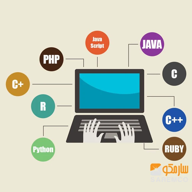 Professional Quality WordPress Theme Design Website Development