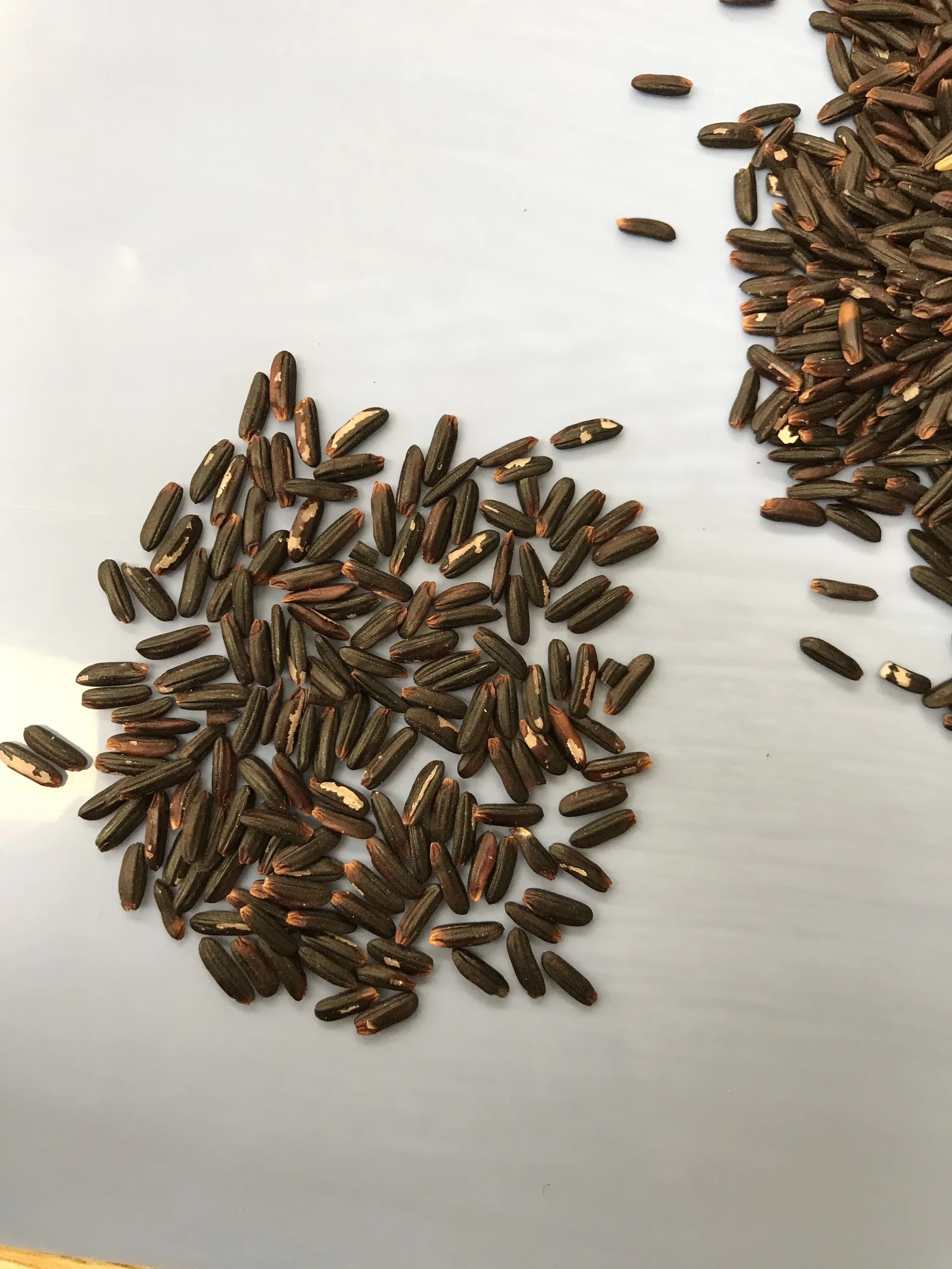 Новый Урожай 2021 сушеный стиль обычное культивирование Тип 25 кг упаковка с длинным зерном черный ВЬЕТНАМСКИЙ РИС