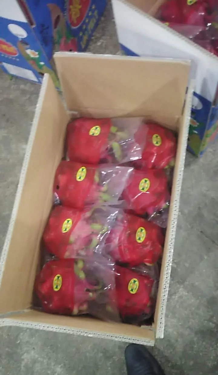 
[Hot] HASU Best Price New Crop Red Dragon Fruit Shipping From Vietnam With High Grade 2021 