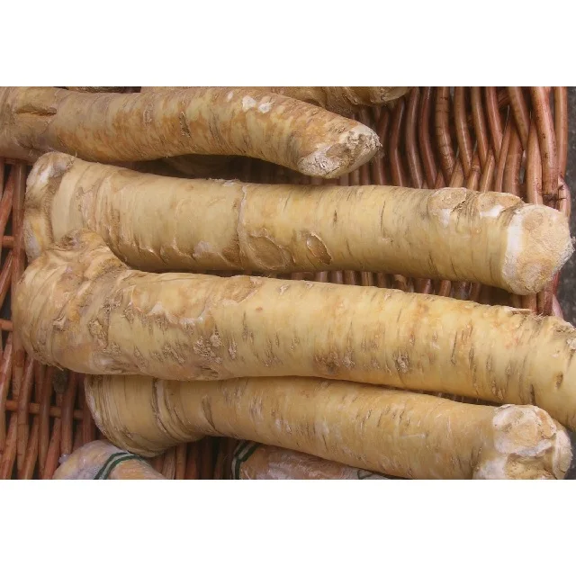 Organic Horseadish Dried Organic Wholesale Hot Wholesale Hot Food Seasoning  Whole Single