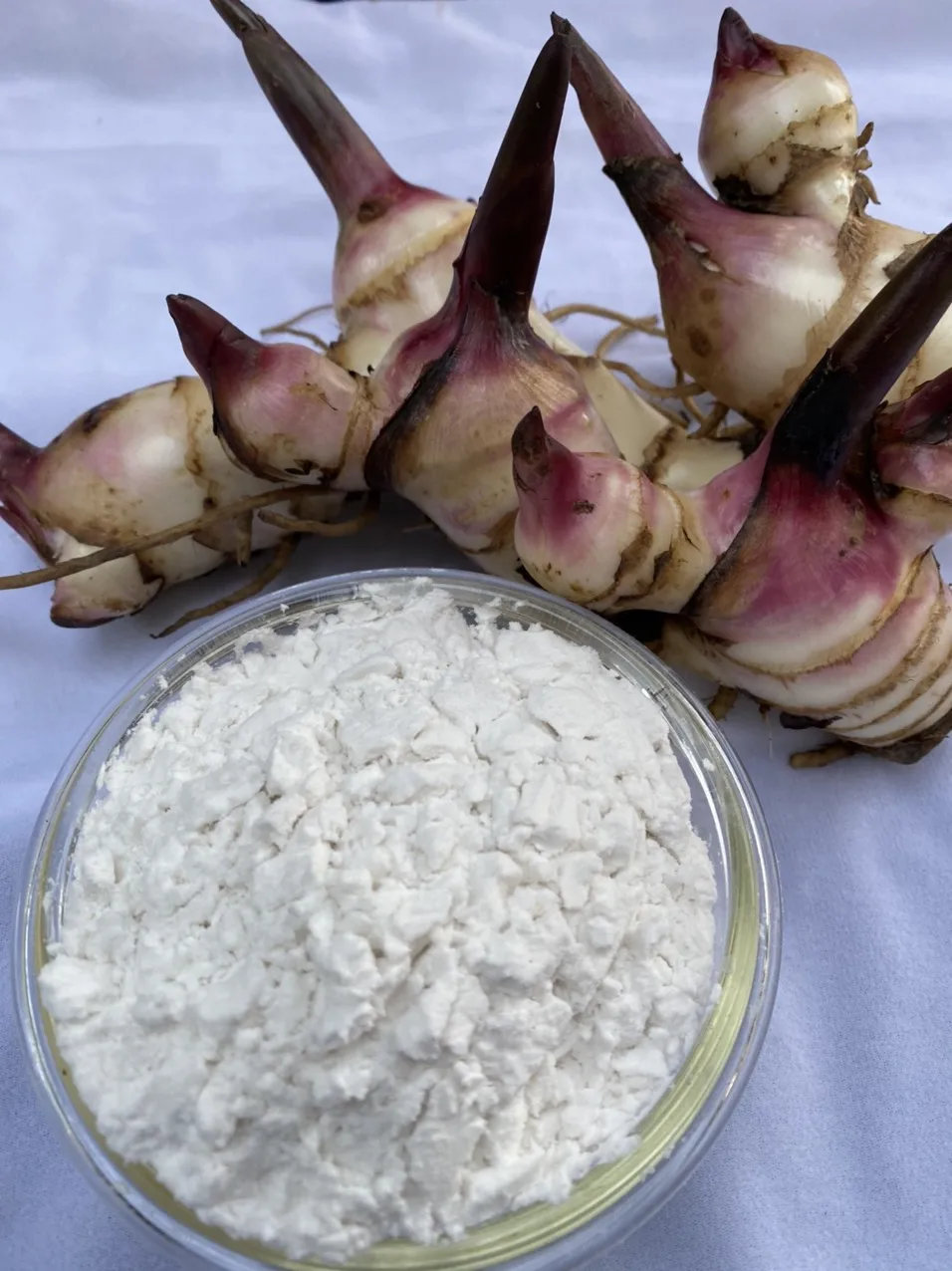  Arrowroot крахмал мука белый порошок родного