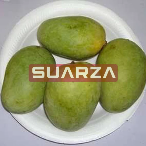 Suarza (PVT)  supplies Raw Mango, Green Mango from Pakistan/Fresh Delicious Mango exporter
