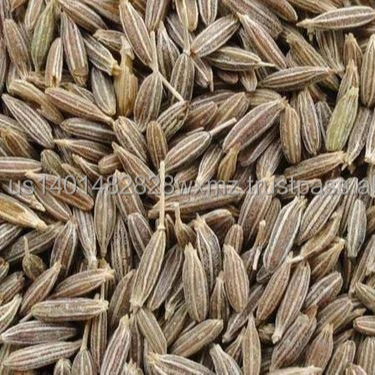 CUMIN SEEDS MANUFECTURING COMPANY