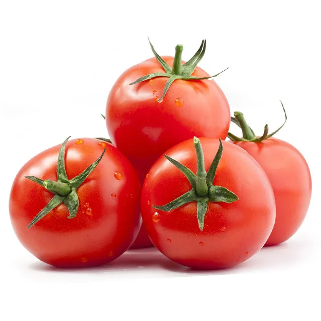 
Fast Delivery Good Fruit Setting Tomato Seeds Hybrid F1 Cherry Tomato F1 Seeds Canned Tomato Ketchup 