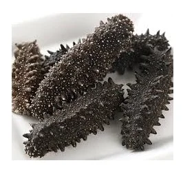 HIGH NUTRITION DRIED SEA CUCUMBER HIGH QUALITY WHITE TEAT FISH FROM VIETNAM SUPPLIER