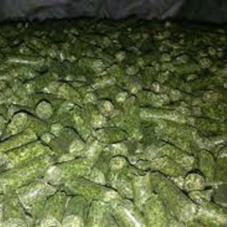 Alfalfa Hay Pellet