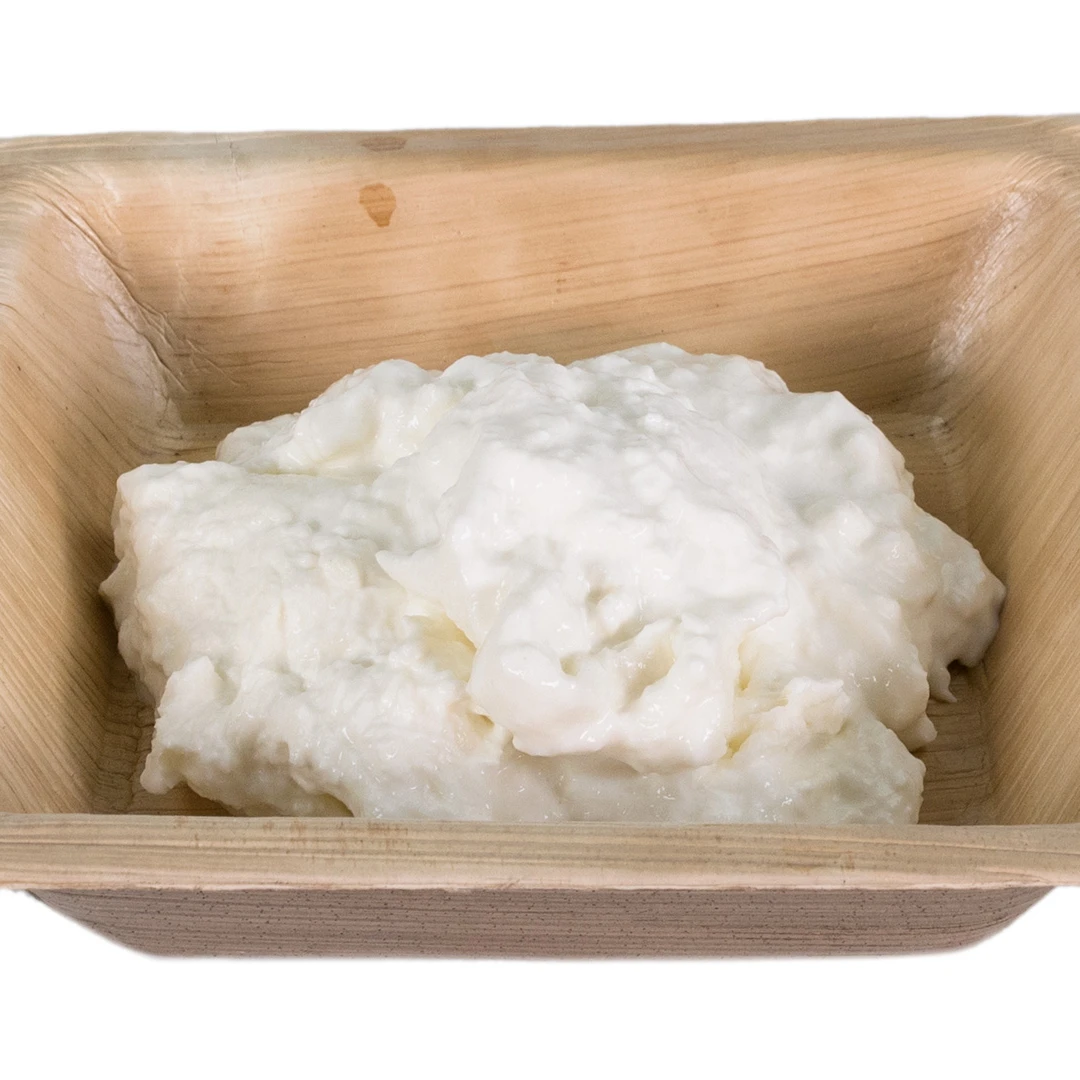High quality traditional italian food  Stracciatella  di Bufala cheese for restaurant