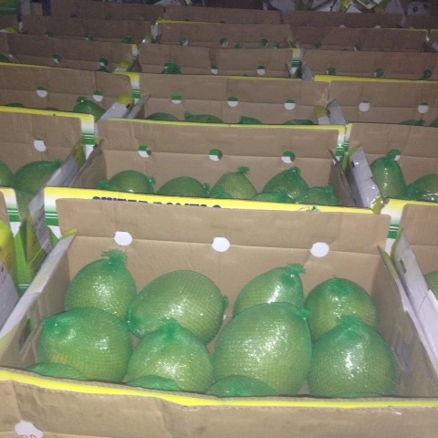 Top Product 2022, Fresh Pomelo In Vietnam, Green pomelo/grapefruit Supper Sweet With Export Quality