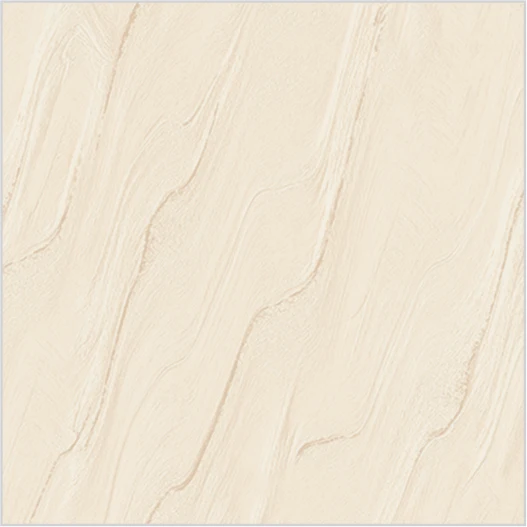 600x600mm base floor tiles nano polished surface manufacturer porcelain tile salt solubles best quality at lowest rate