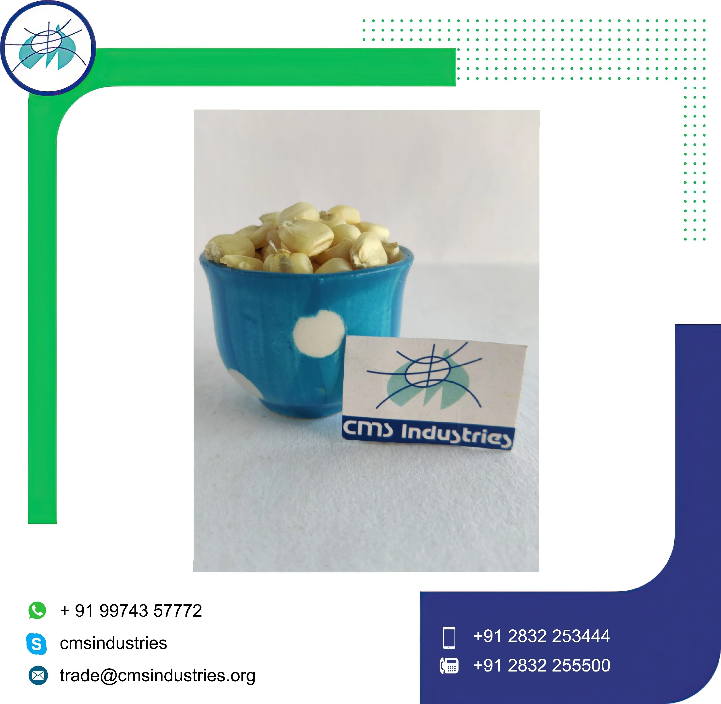 Refine White Maize or Corn  for Animal Use