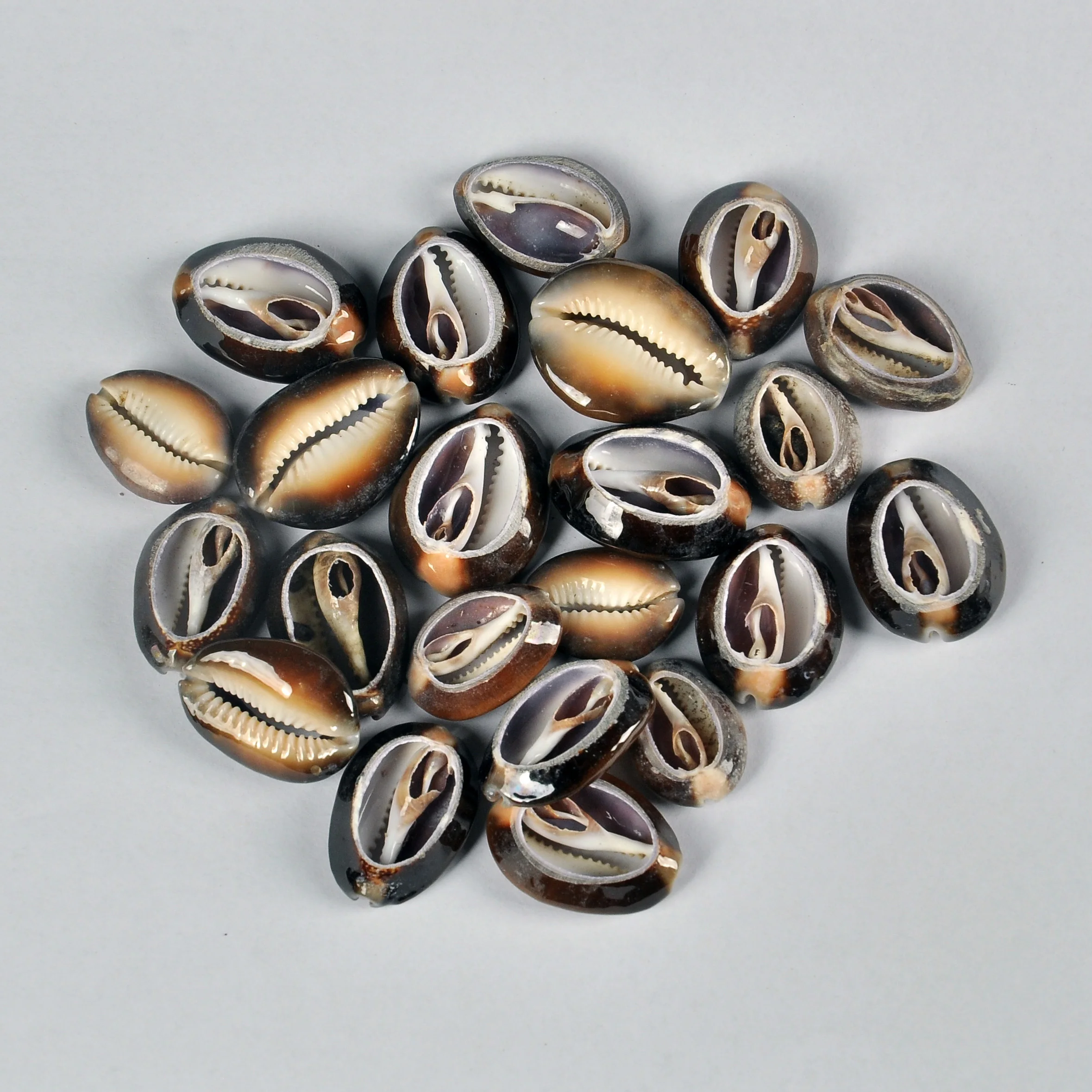  Натуральная морская раковина «сделай сам» используется для украшения дома