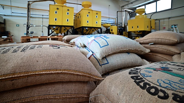 Coffee Italy Caffe Bonito Instant Coffee High quality Dolce Gusto compatible coffee capsule