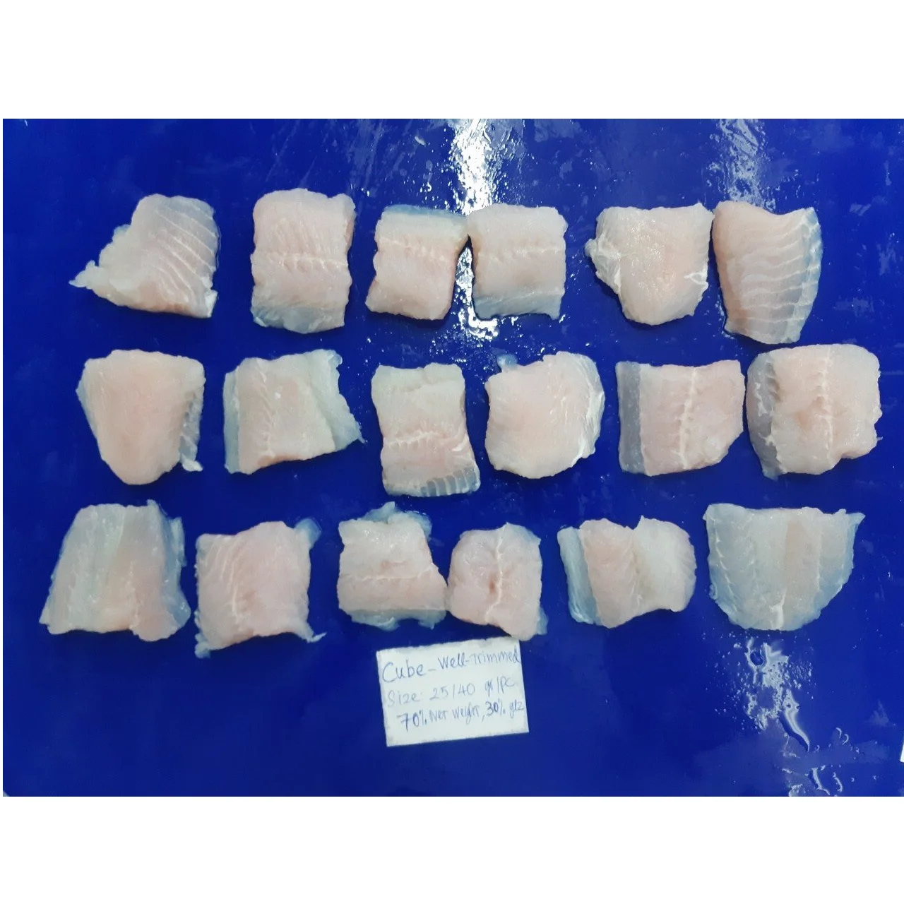 IQF BLOCK Vacuum Pack FROZEN NATURE Pangasius Hypophthalmus Pangasius Cube From Viet Nam