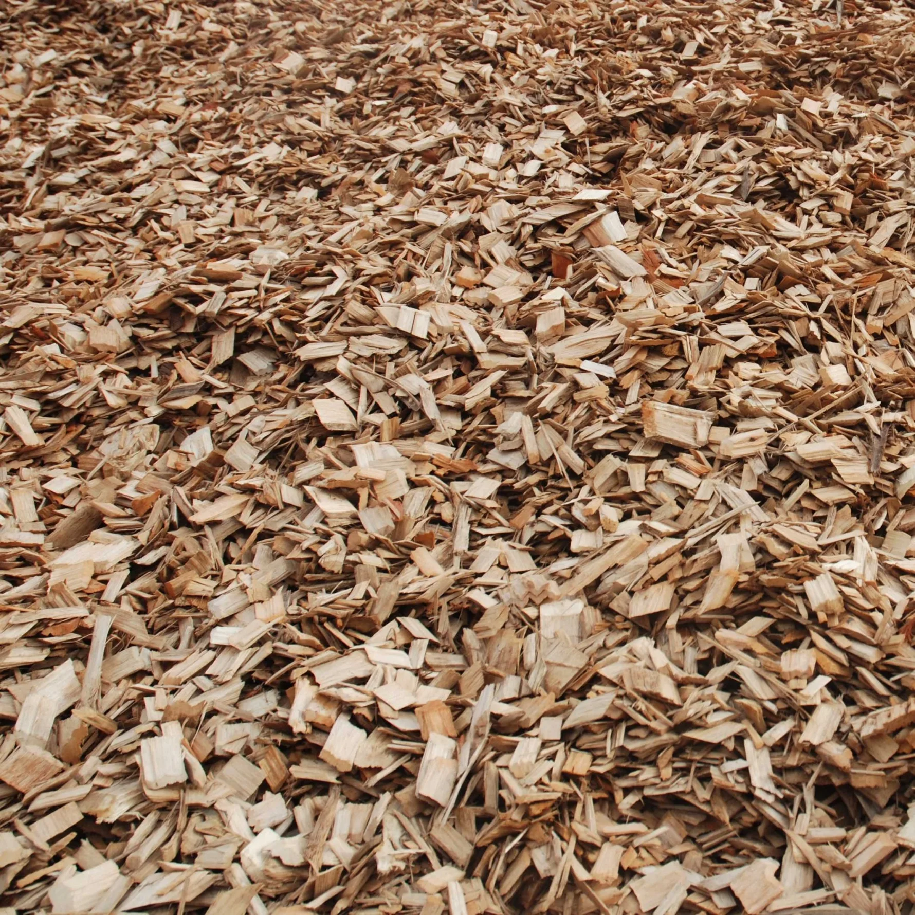 Wood Chips At Best Price made in Vietnam