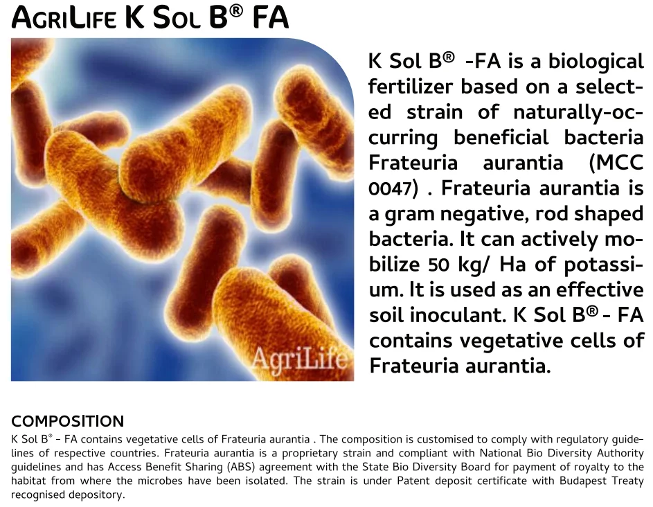 Screenshot (958).png