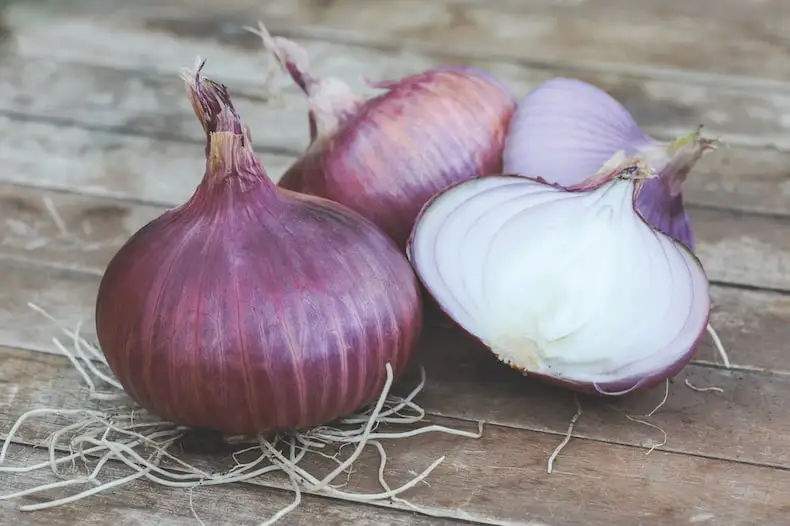 Свежий желтый лук натуральный дешевый высокое качество