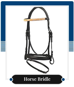 Horse-Bridle.jpg