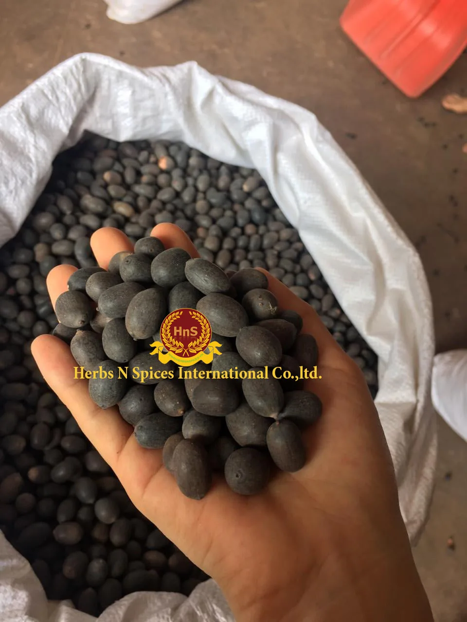 Семена лотоса Вьетнам