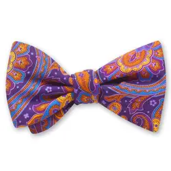 Фиолетовый галстук-бабочка barshu