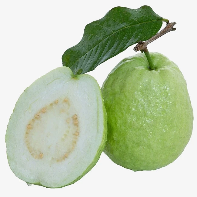
Fresh Guava Fruit From Vietnam 